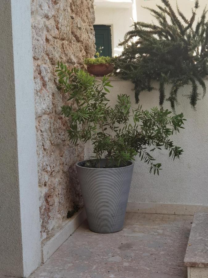شقة Manda Gradac غراداك المظهر الخارجي الصورة